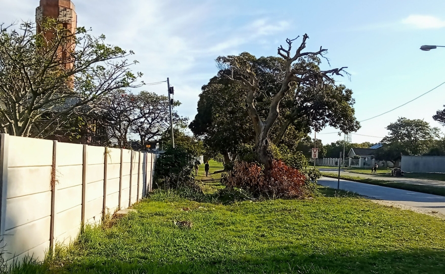 Commercial Property for Sale in Walmer Eastern Cape